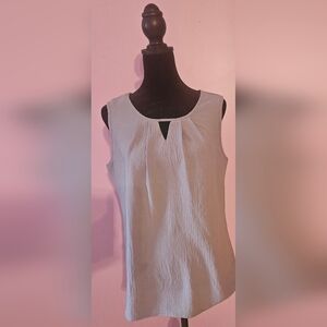 Chic Sleeveless Sky Blue Blouse